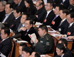 Mao Xinyu, grandson of Mao Zedong