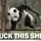 Meme Wednesday: Actually, there’s nothing really offensive this week, unless you hate McDonald’s, Marbury, or The Office