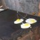 Picture of the Day: Sunny Side Up