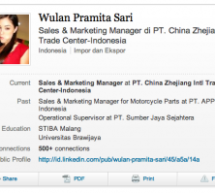 Why Is The Sales Manager At A Chinese Government-Owned Trade Company Using (Former) Porn Star Sasha Grey As A Profile Picture?