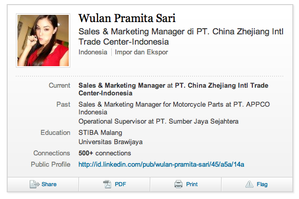 Linkedin Porn - Why Is The Sales Manager At A Chinese Government-Owned Trade Company Using  (Former) Porn Star Sasha Grey As A Profile Picture? | Beijing Cream