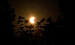 Monday morning's solar eclipse, as seen in China / XINHUA