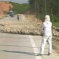 Here’s What 5,000 Ducks Crossing The Road Looks Like On Video