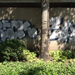 Graffiti - Xibahe South Rd