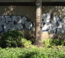 Beijing’s Proliferating Graffiti Art