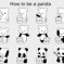 A Dose Of Cuteness: How To Be A Panda