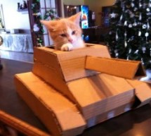Top-of-the-Week Links: Photos of Tiananmen, that cannibal Luka Rocco Magnotta, and “Kitty Weekend”