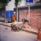 Picture of the Day: Work