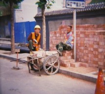 Picture of the Day: Work