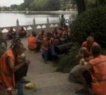 Picture of the Day: Lunch Break