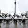 Pandas Parade Around Trafalgar Square, Fail To Terrorize Children