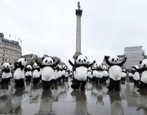 Pandas Parade Around Trafalgar Square, Fail To Terrorize Children