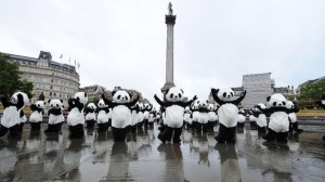 Pandas at Trafalgar