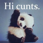 Greetings from Panda!