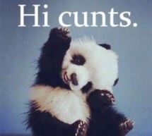 Meme Thursday: Greetings From Panda (featuring Bad Luck Brian, Condescending Wonka, and Fry)