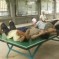 Picture of the Day: Siesta In The Noonday Sun