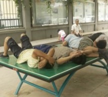Picture of the Day: Siesta In The Noonday Sun