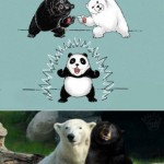 Black Bear + Polar Bear = Panda Bear