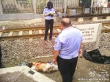 Weibo Reports A Man Got Killed By A Train Next To Wudaokou Subway Station Over The Weekend [UPDATE]