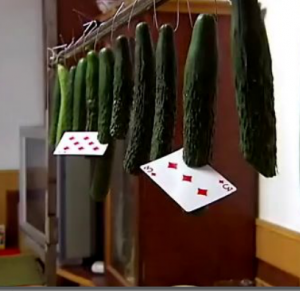 Fruit Ninja Trains To Break World Record For Most Cucumbers Sliced With Playing Cards