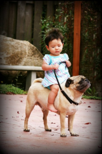 Girl on pug