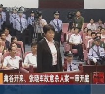 Fascinating Detailed Summary Of The Gu Kailai Saga, As Presented At Trial