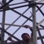 Somewhat Foolishly, Man Climbs Electricity Pylon To Mess With Bird’s Nest, Gets Stuck