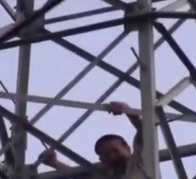 Man Climbs Electricity Pylon To Mess With Bird’s Nest featured image