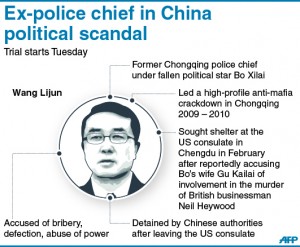 Wang Lijun infographic