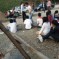 Bus Carrying 46 Students Drives Off Cliff, Killing At Least Four