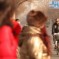 Former Ambassador To China Jon Huntsman Once Got The English-Teaching Laowai Treatment, Had Visa Cancelled [UPDATE]