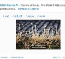 NetEase Compares Global Times Chief Editor Hu Xijin To Grass That Rolls With The Prevailing Political Winds