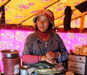 Tibetan nomad