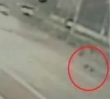Will No One Help This Drunk Man On The Side Of The Highway? (Answer: Seeing As How He Got Run Over, No)