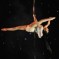 Of Course China Is Sending A Team To The World Pole Dance Competition