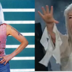 Cher vs. Peng Liyuan