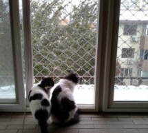 Wake Up, Beijing: The Season’s First Snowfall Is On Your Doorstep