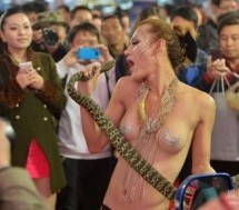 Car Show Takes Chinese-Topless-Model Act To New Level: With Snakes
