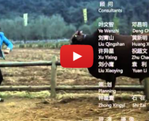 We Found A Gangnam Parody That Isn’t Terrible: Zhangjiajie Style