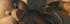 (4) Porking Pigs
