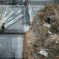 The End Of The “Nail Grave”: Taiyuan Tomb Scheduled For Removal [UPDATE: 800 Yuan Given In Compensation]