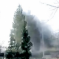 Chinese Artist Tries To Blow Up Christmas Tree, Tries And Tries Again