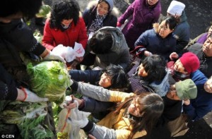 Daily Mail Taiyuan cabbage 1