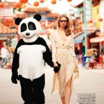 Panda and model