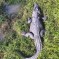 Most Of Shenzhen Zoo’s Crocodiles Have Been Killed By Visitors