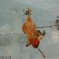 Live Chickens Used As Archery Targets In Jilin Ice And Snow Festival, Because It’s “Tradition”