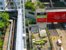 Is This Beijing’s Happiest Rooftop Gardener?