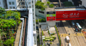 Rooftop garden featured image