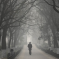 This Pollution Might Be Killing People