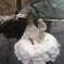 Picture Of The Day: Snow Sculpture